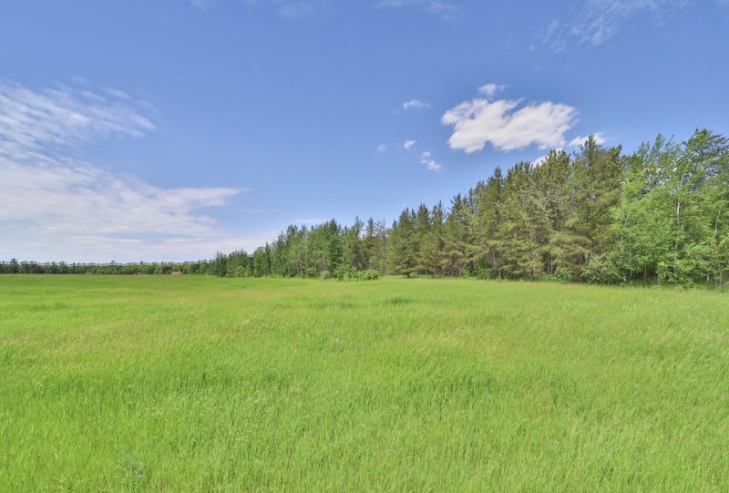 TBD Hwy 371, Backus, MN 56435