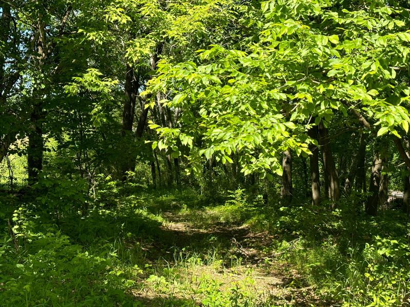 34403 Leisure Dr, Cushing, MN 56443
