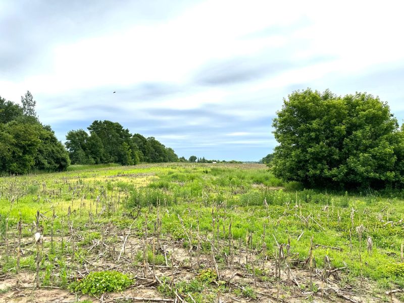 TBD- Parcel A 20.07AC 90th Ave, Princeton, MN 55371