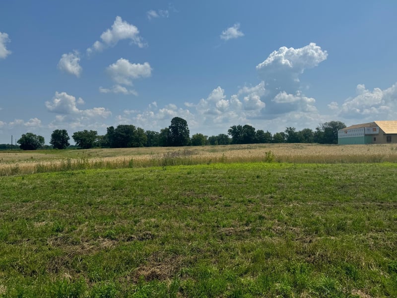 8980 Grace Ln N, Greenfield, MN 55357