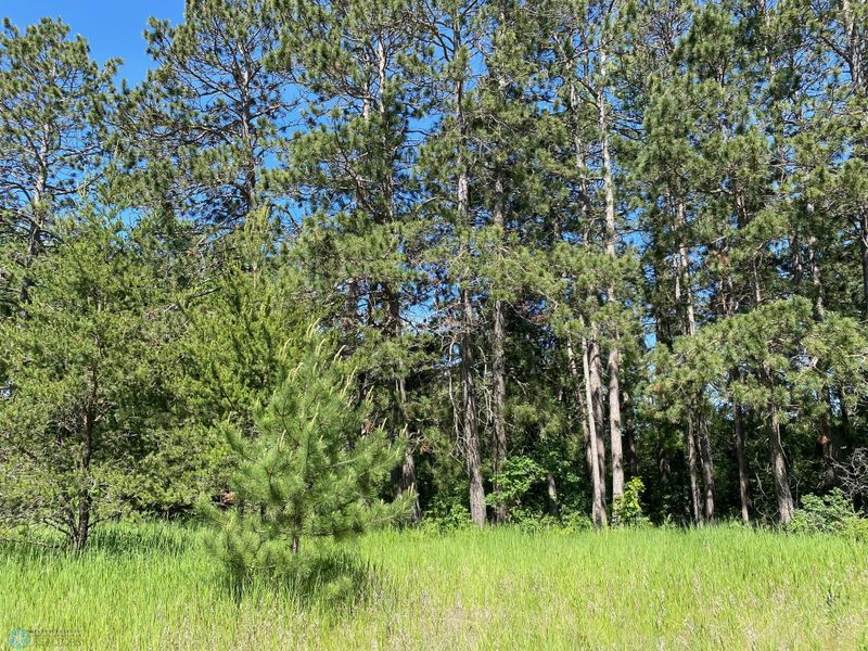 48227 County Highway 26, Ponsford, MN 56575