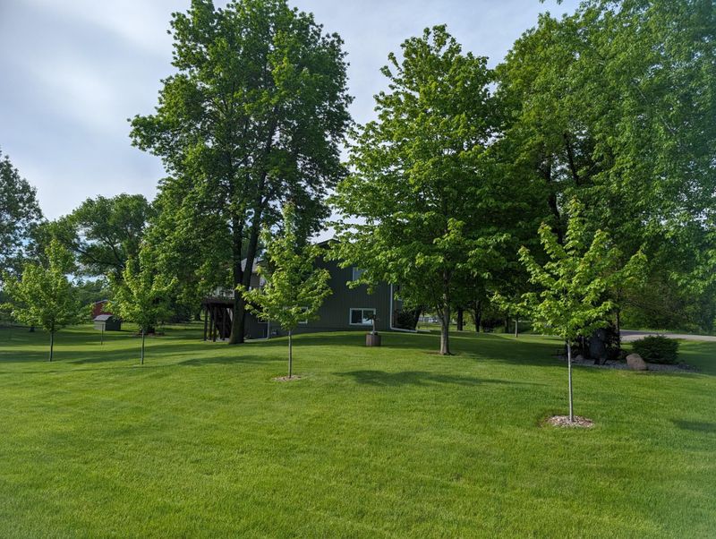 12580 Park Dr, Rogers, MN 55374