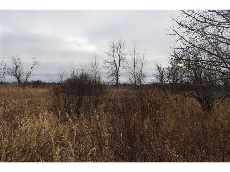 xxx Knick Knack, Milaca, MN 56353