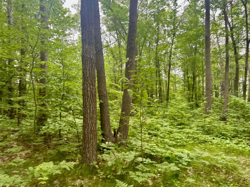 TBD Red Stone Dr, Cushing, MN 56443