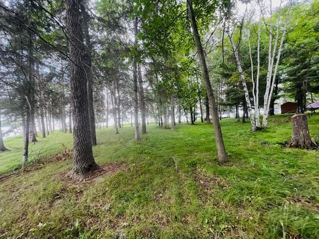 TBD Rock Point Dr, Walker, MN 56484