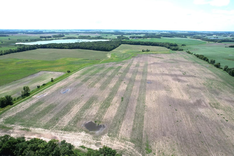 County Road 95, Sauk Centre, MN 56378