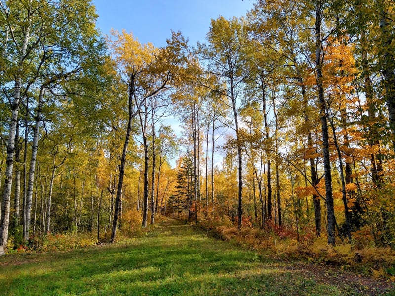5461 E County Road C, South Range, WI 54874
