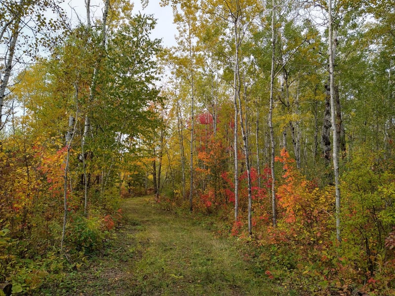 5461 E County Road C, South Range, WI 54874