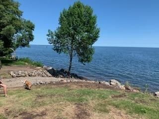 46934 Earle Brown Dr, Garrison, MN 56450