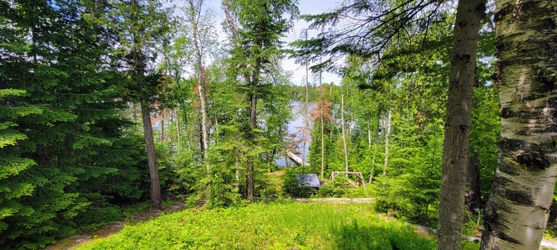 46636 North Star Lake Rd, Marcell, MN 56657