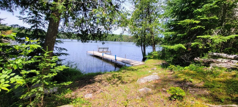 46636 North Star Lake Rd, Marcell, MN 56657
