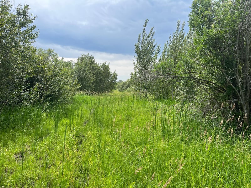 xxx 555th Ave, Deer Creek, MN 56527