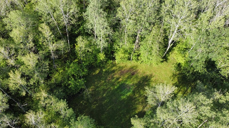 24043 220th St, Mcgrath, MN 56350