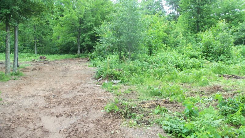 7032 Pinewood Trl, Webster, WI 54893