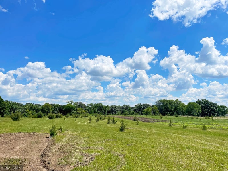 13796 State Highway 55 NW, Annandale, MN 55302