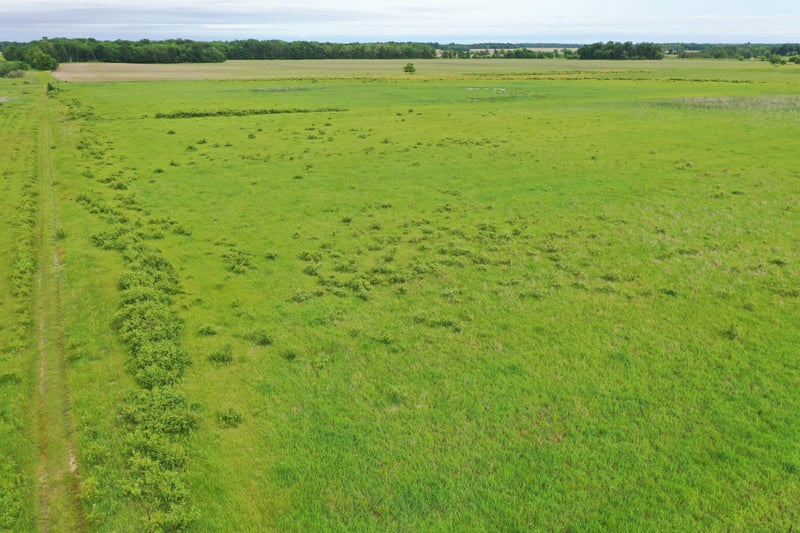 TBD 200th St, Parkers Prairie, MN 56361