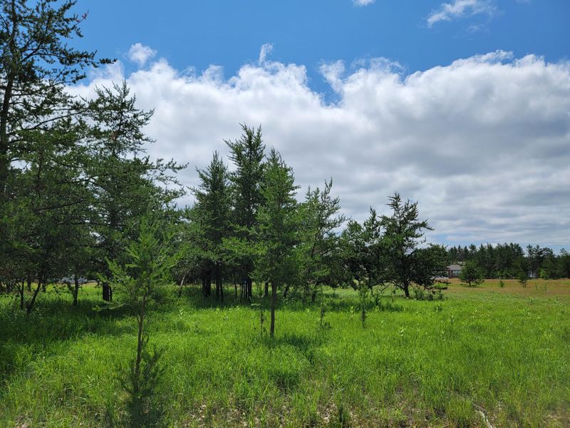 XXX 3rd St, Breezy Point, MN 56472