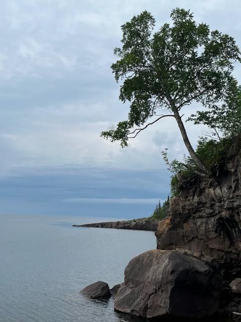 6626 W Highway 61 #A11, Tofte, MN 55615