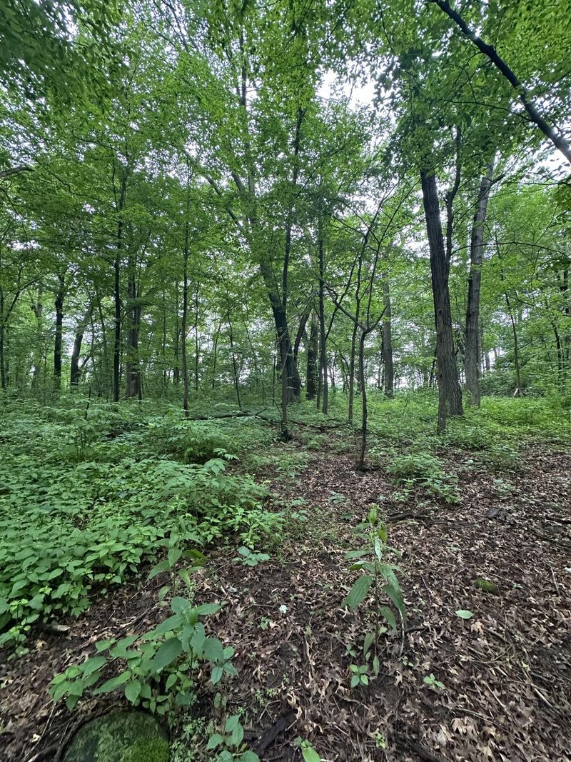 XXX 206th St, Star Prairie, WI 54026