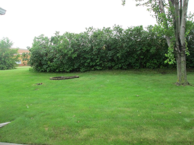 217 5th St, Kenyon, MN 55946