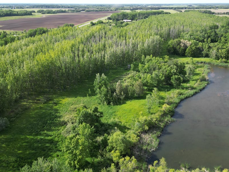 Xxxx County Rd 26, Verndale, MN 56481