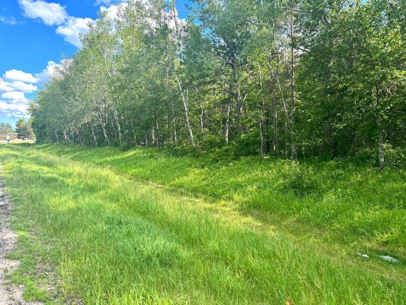 Tract D 24th Ave SW, Pine River, MN 56435