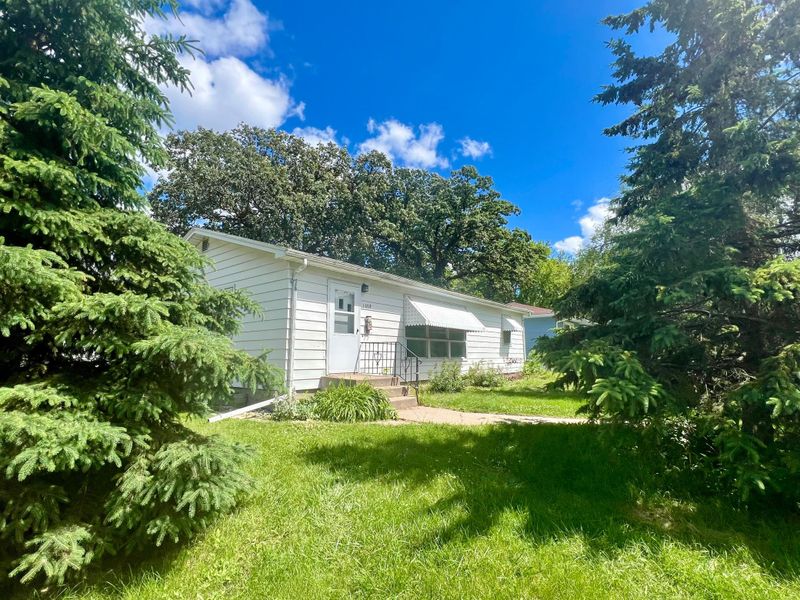 1003 Irving St, Alexandria, MN 56308