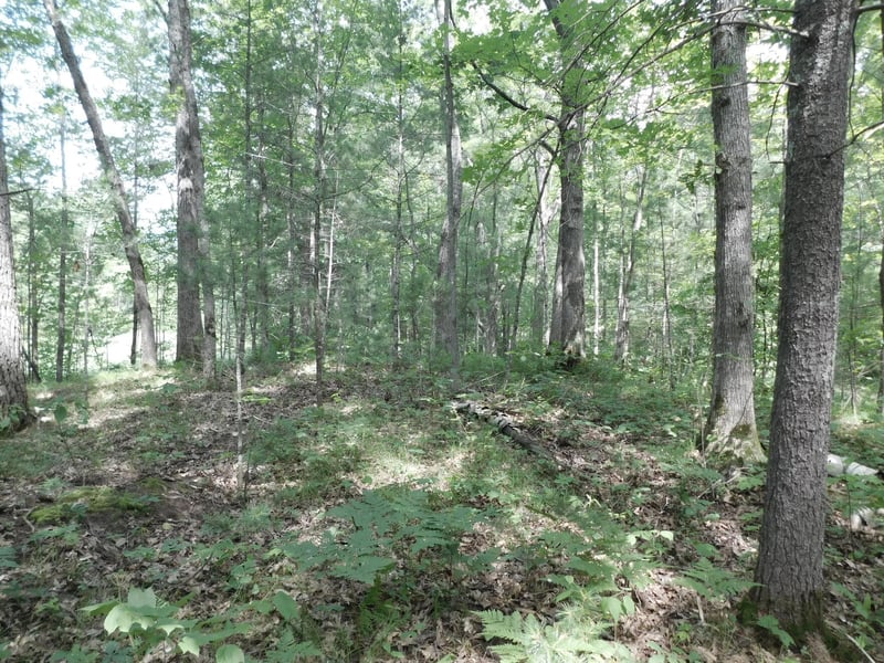 XXX 27th Ave, Cumberland, WI 54829