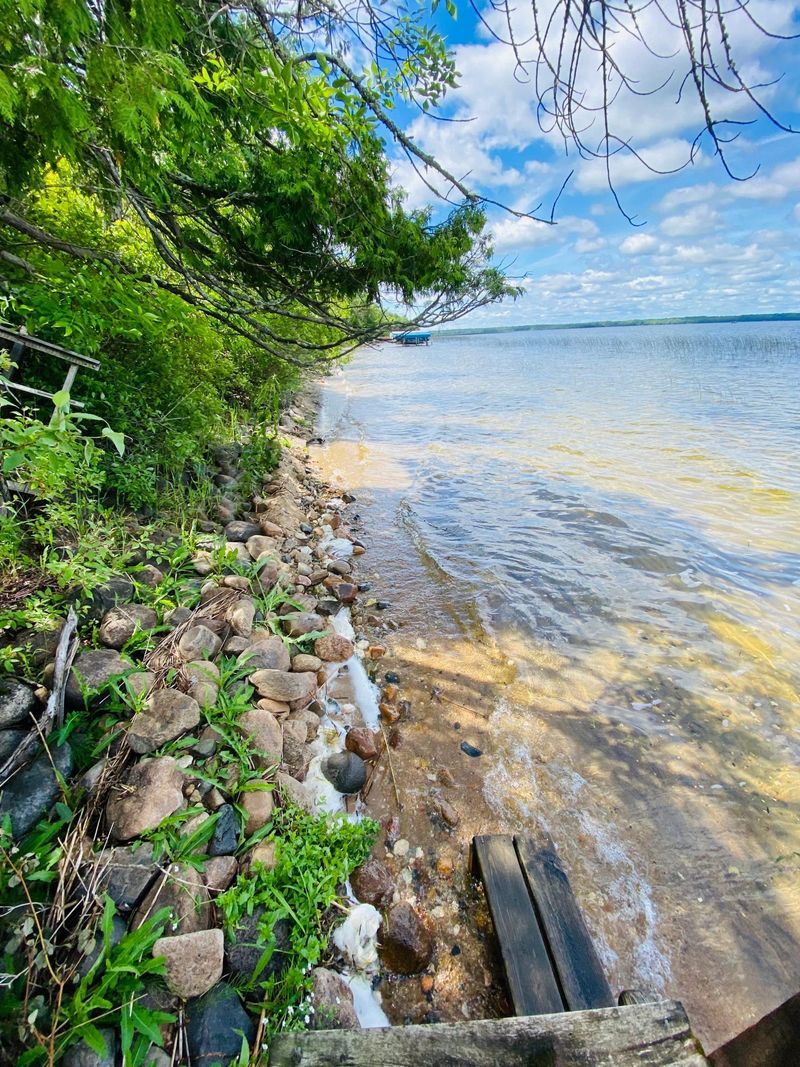 51305 Edgewater Rd, Spring Lake, MN 56680