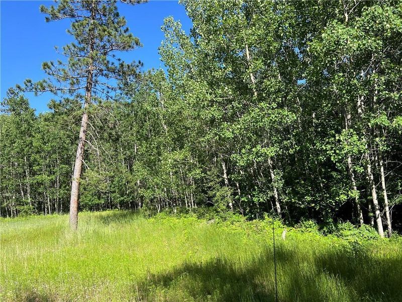 XXX Dock Lake Rd, Spooner, WI 54801