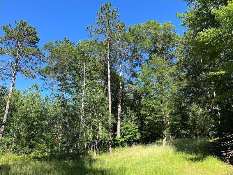 XXX Dock Lake Rd, Spooner, WI 54801