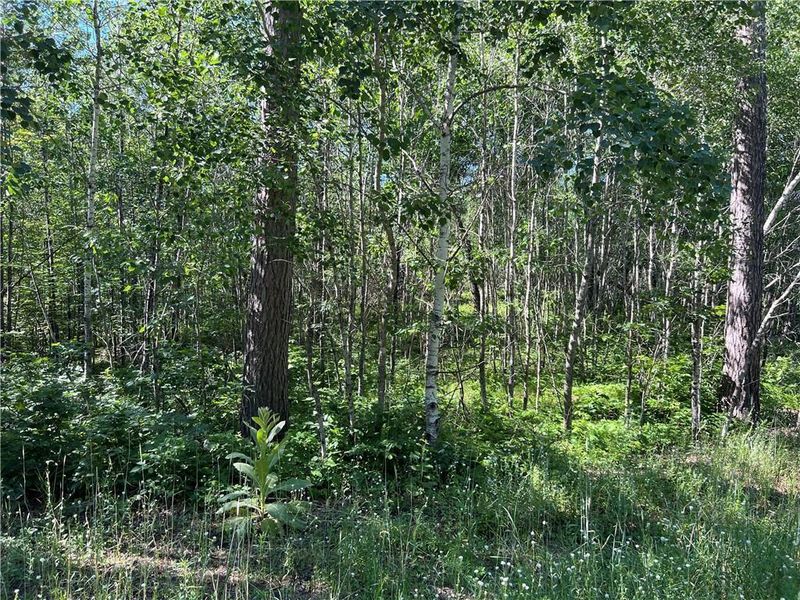 XXX Dock Lake Rd, Spooner, WI 54801
