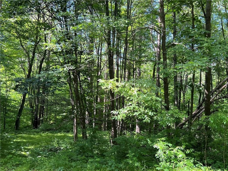 XXX Perry Ln, Spooner, WI 54801