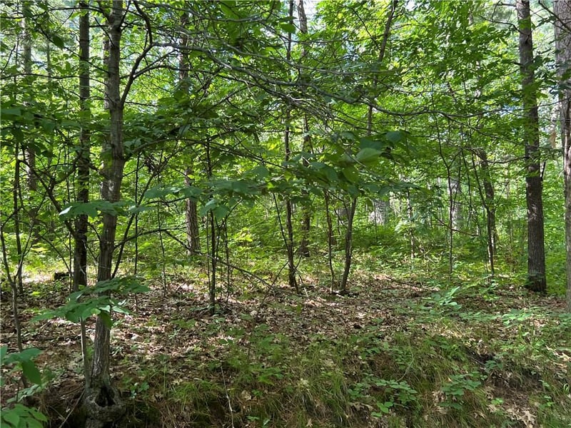 XXX Perry Ln, Spooner, WI 54801