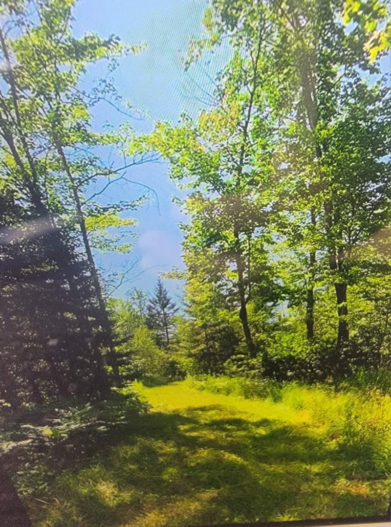 93355 Rowley Rd, Bayfield, WI 54814
