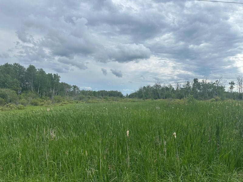 TBD County Line Rd, Aldrich, MN 56434