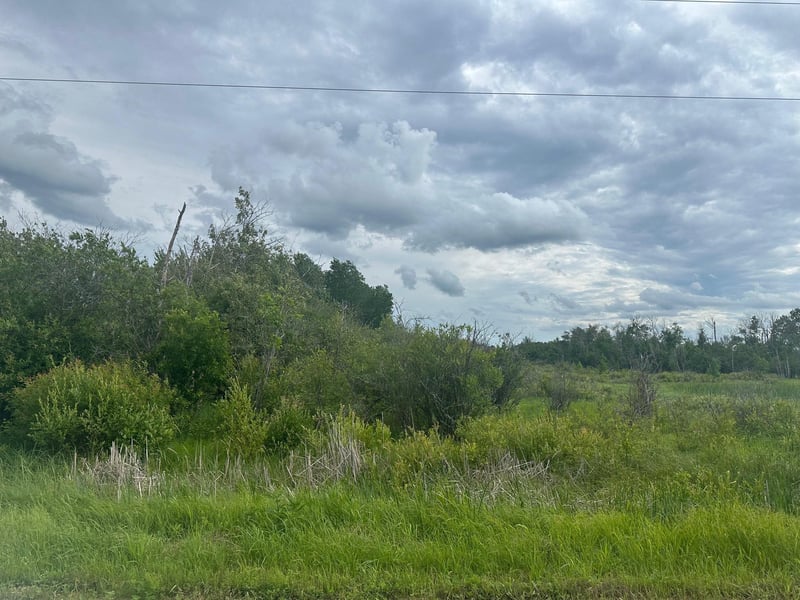 TBD County Line Rd, Aldrich, MN 56434