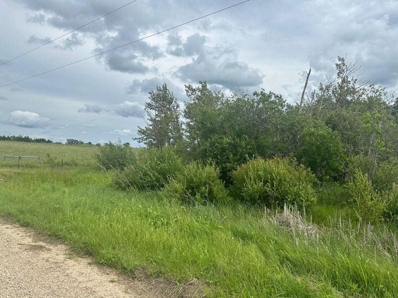 TBD County Line Rd, Aldrich, MN 56434