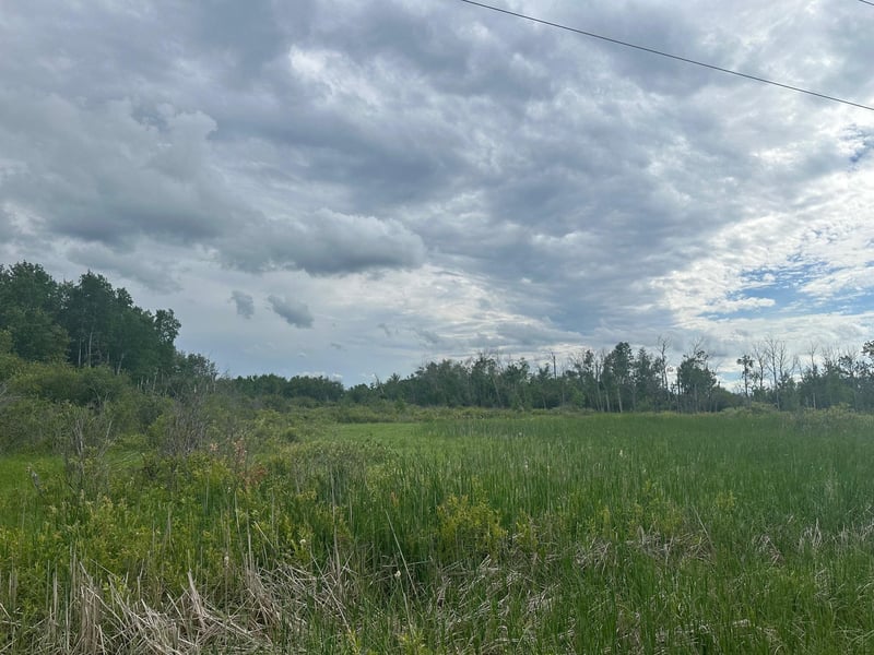 TBD County Line Rd, Aldrich, MN 56434