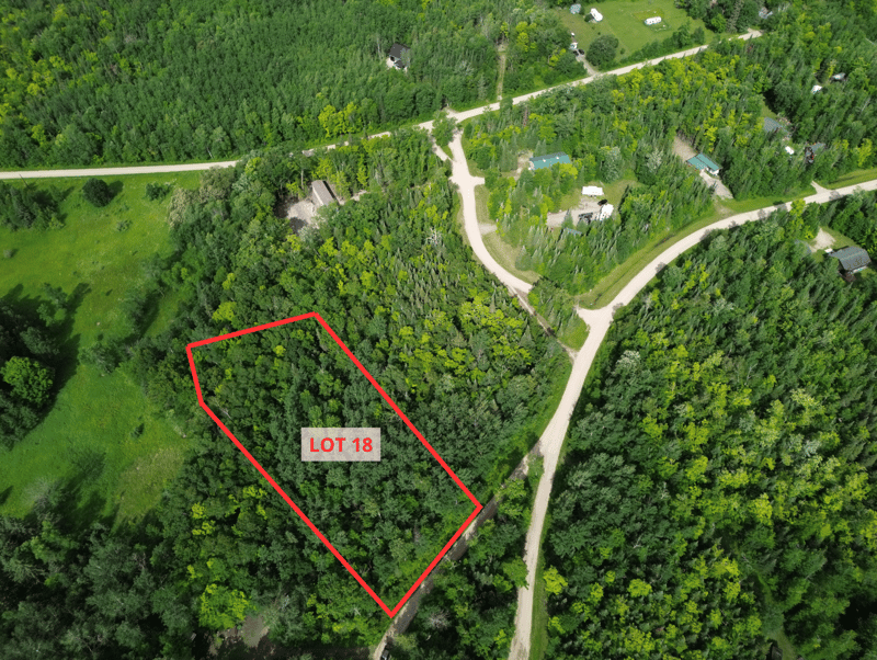 Lot 18 Natures Trl, Federal Dam, MN 56641