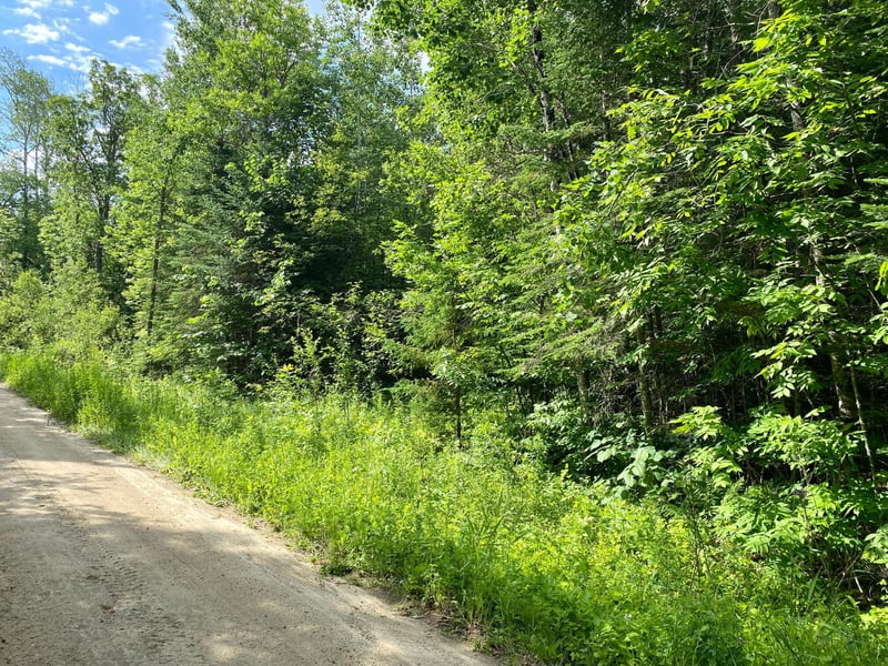 Lot 18 Natures Trl, Federal Dam, MN 56641