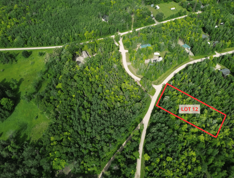 Lot 12 Natures Trl, Federal Dam, MN 56641