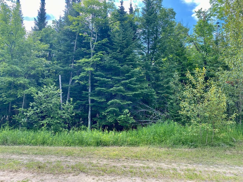 Lot 19 Natures Trl, Federal Dam, MN 56641
