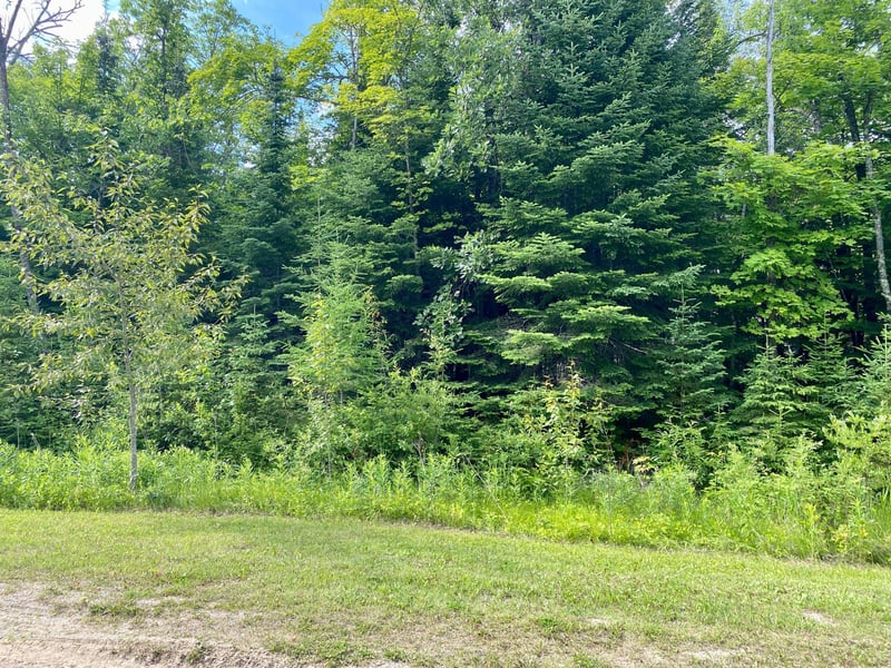 Lot 20 Natures Way, Federal Dam, MN 56641