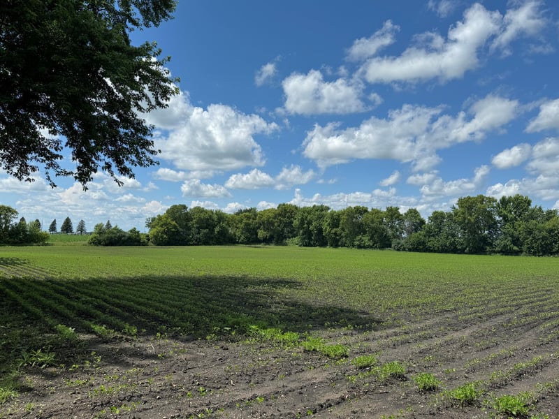 4th Street, Echo, MN 56237