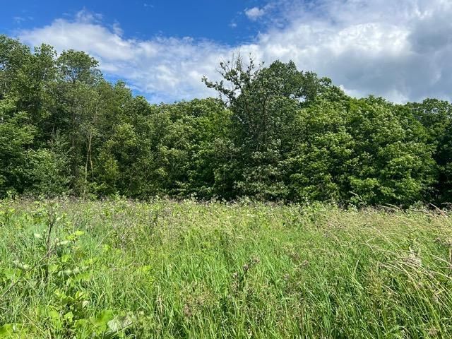 xxxxx 220th, Bagley, MN 56621