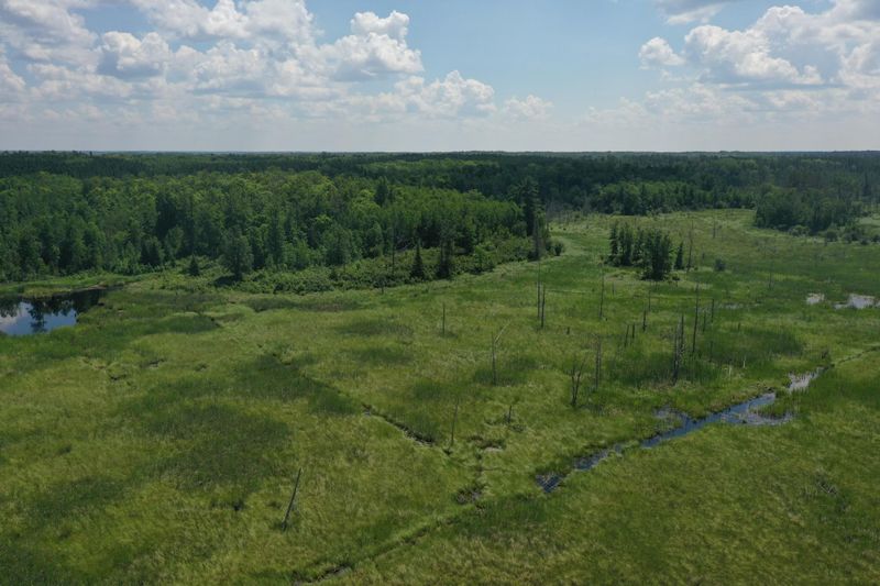 57556 County Rd 4, Max, MN 56659