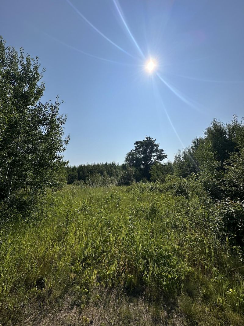 TBD County Rd 2 Nw, Prosper Twp, MN 56686