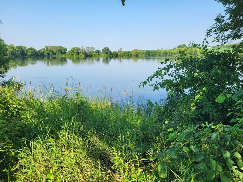13865 Co Rd 35, Dalton, MN 56324