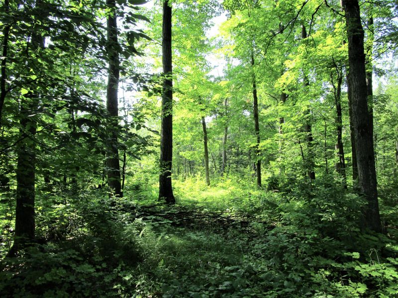 XX 220th Ave, Milltown, WI 54858